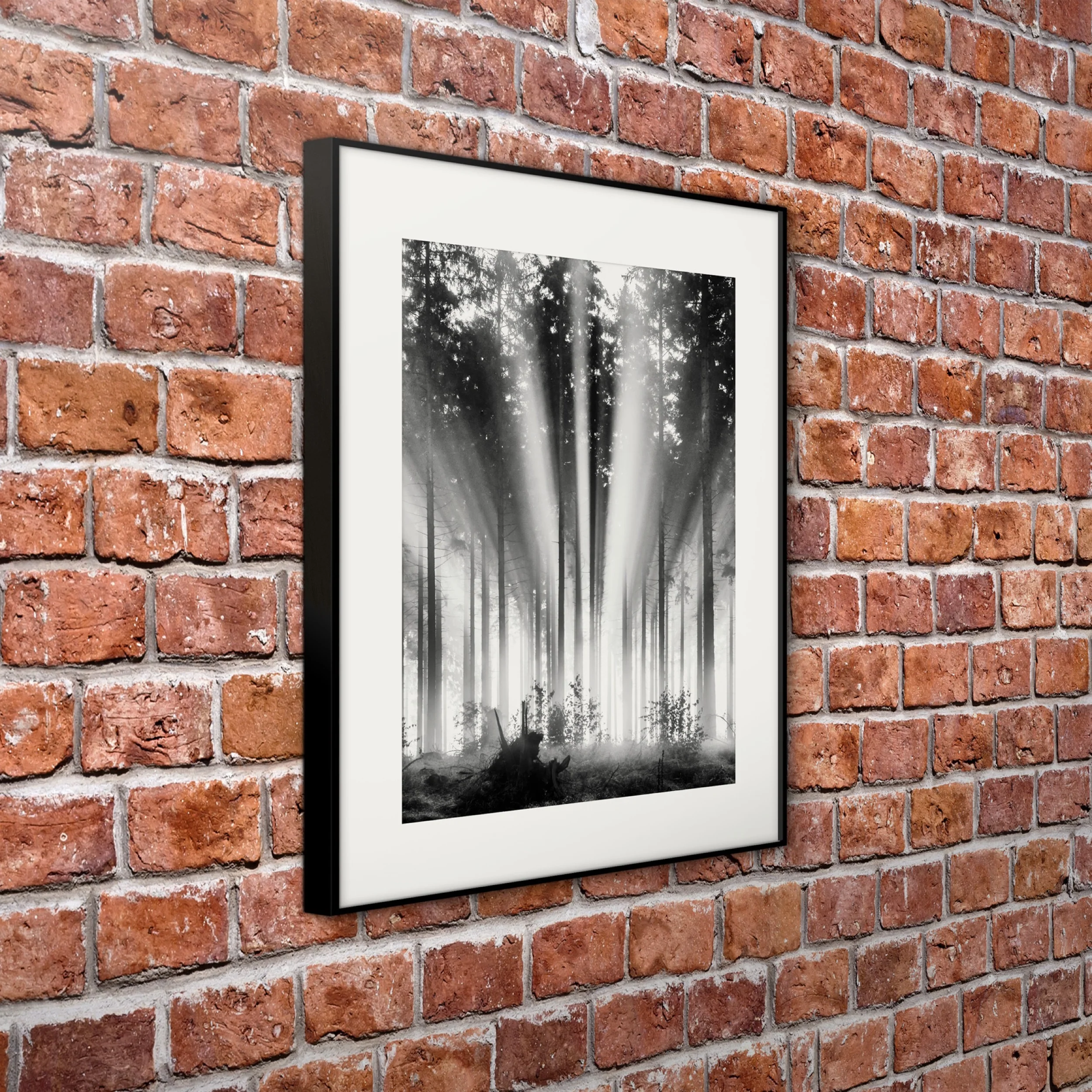 Obraz w czarnej ramie Fog and Sun 70x50 cm - Image 4