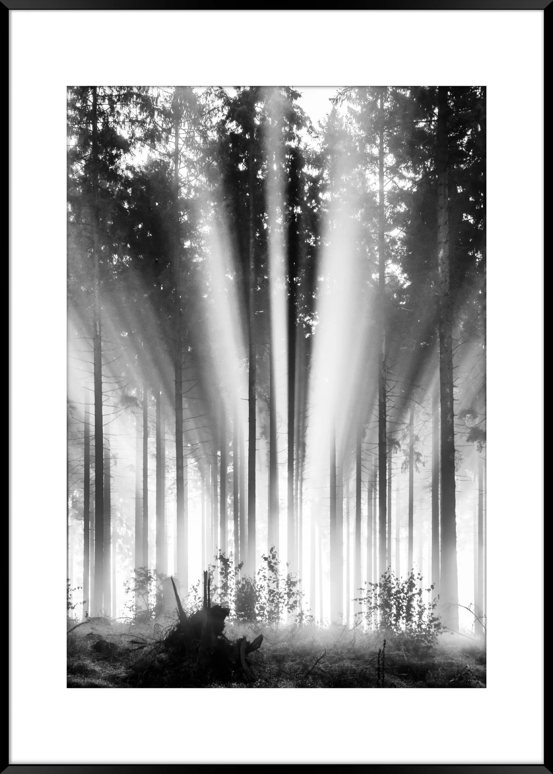 Obraz w czarnej ramie Fog and Sun 70x50 cm - Image 8
