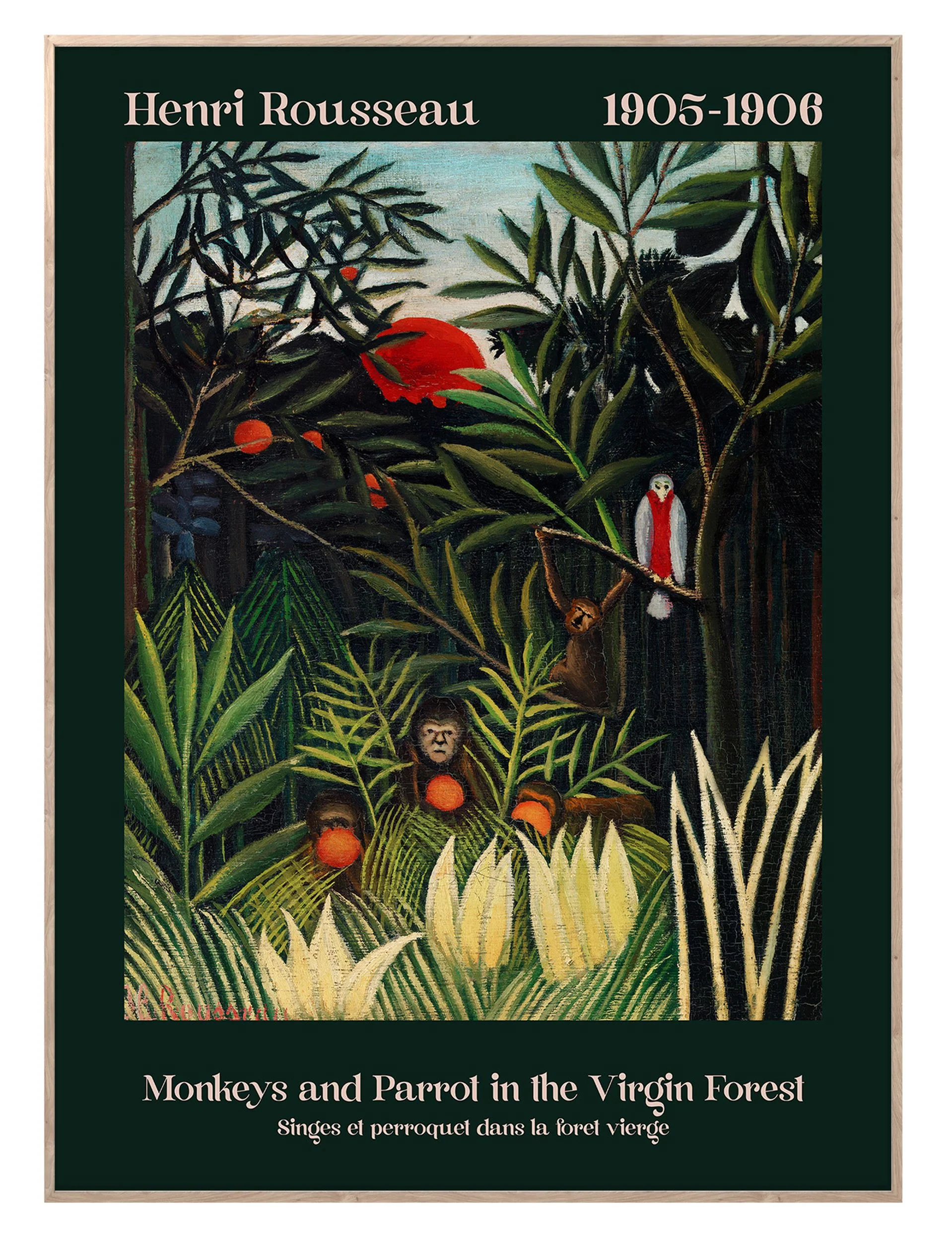 Obraz w ramie Virgin Forest 70x50 cm
