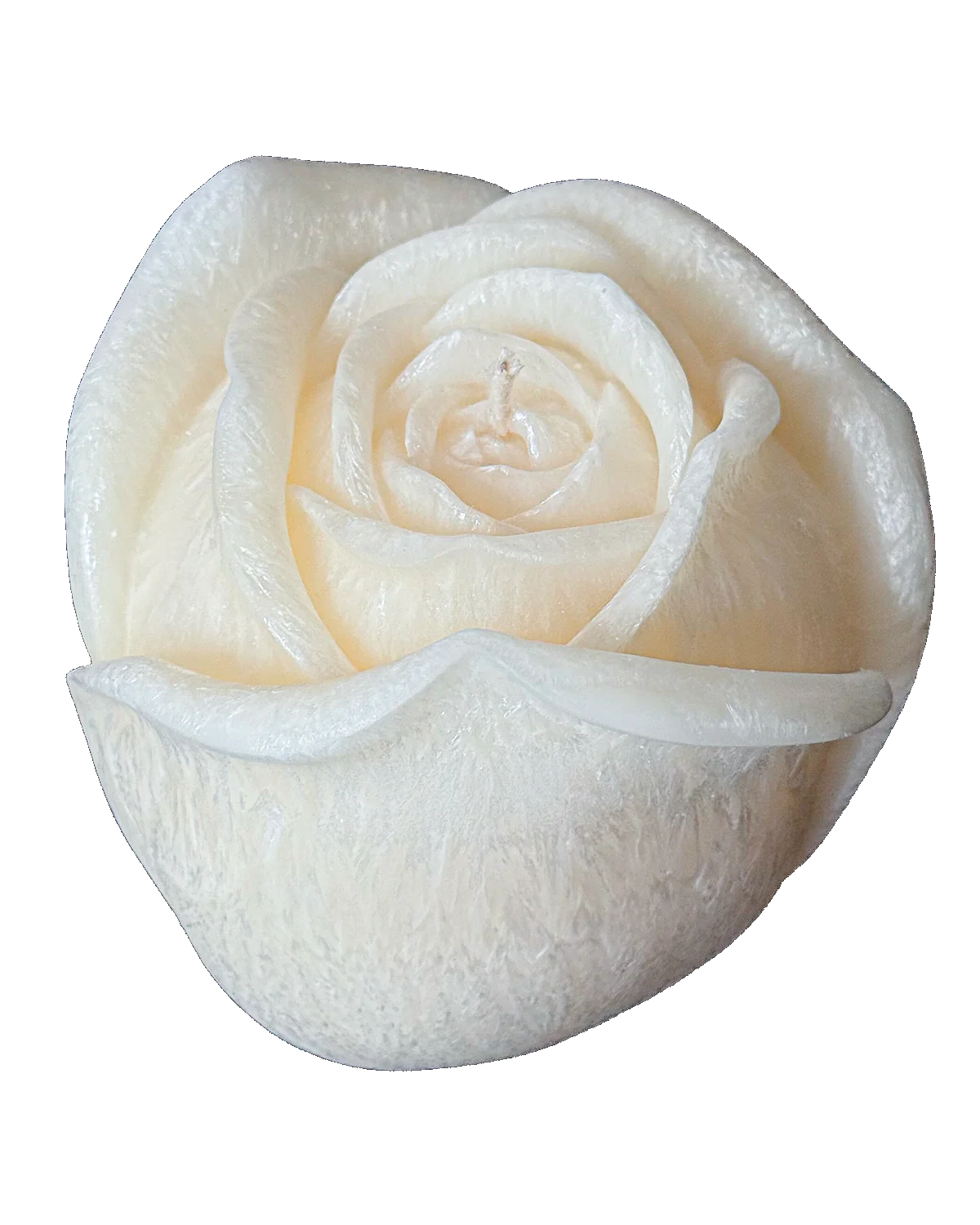 Świeca z wosku palmowego Rose 640 g - Image 5