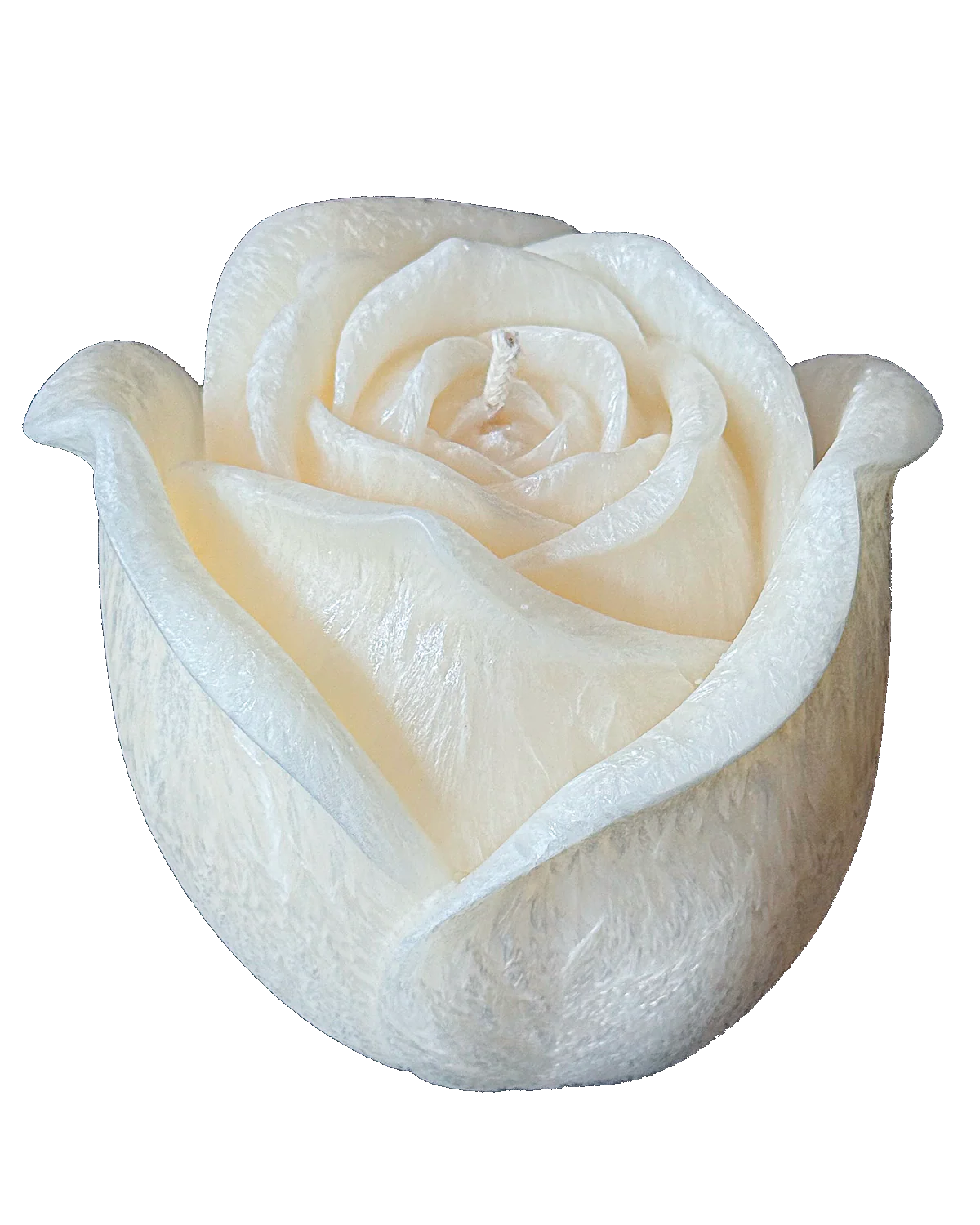 Świeca z wosku palmowego Rose 640 g - Image 6